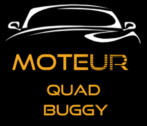 LR Prog Brive reprogrammation quad buggy