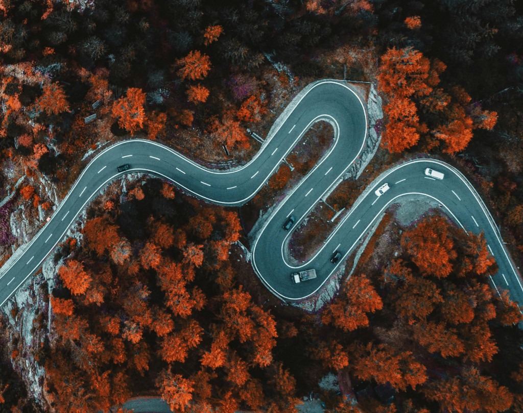 image pexel route sinueuse dans une foret, LR Prog.fr